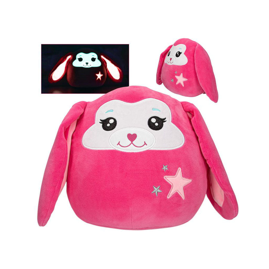 69231