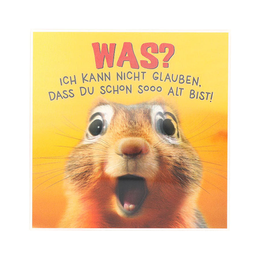 73343